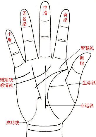 生命線帶眼|從掌中生命線看人生命力、健康與病痛秘密